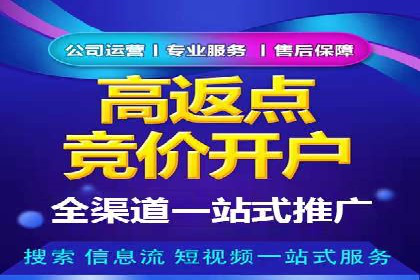 某某SEM团队成功提升网站流量与转化率的实战经验